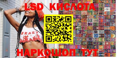 стафф Новозыбков