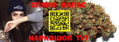 первитин Новодвинск
