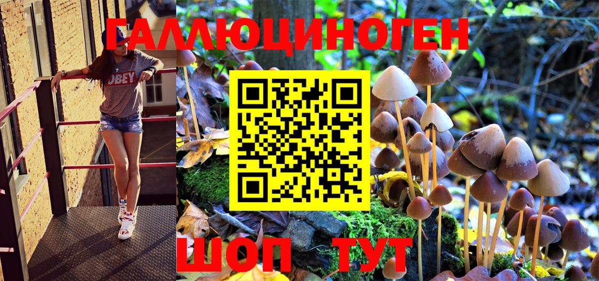 Галлюциногенные грибы Magic Shrooms  Галлюциногенные грибы Magic Shrooms  Сердобск  Вход с VPN 