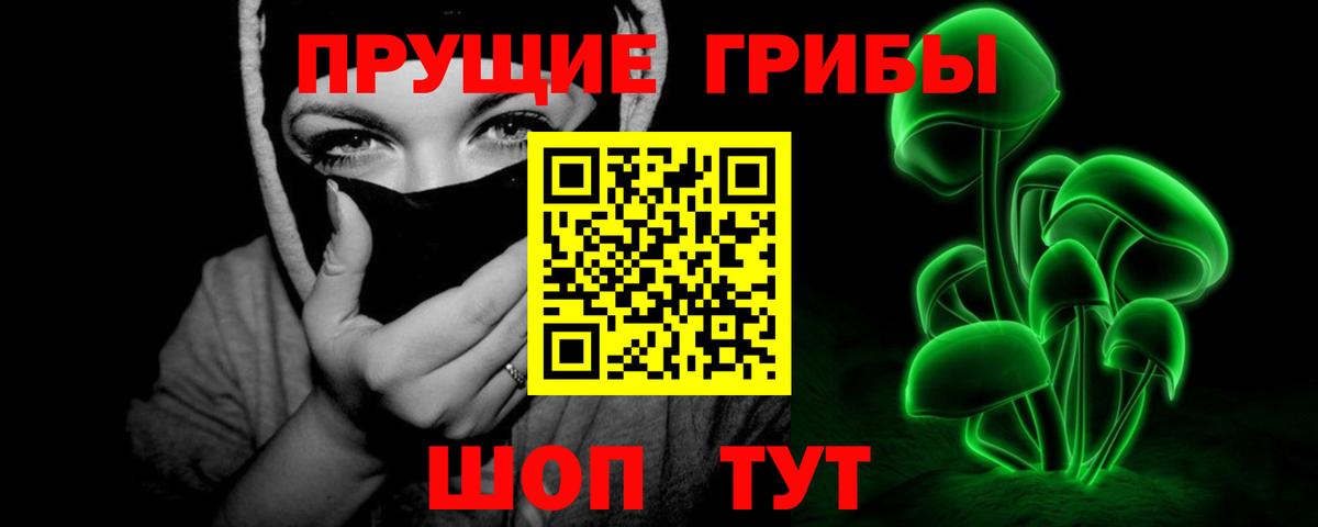Галлюциногенные грибы Psilocybine cubensis Сердобск